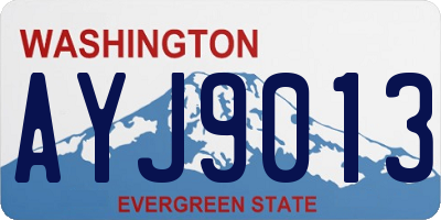 WA license plate AYJ9013