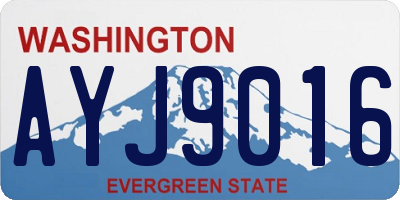 WA license plate AYJ9016