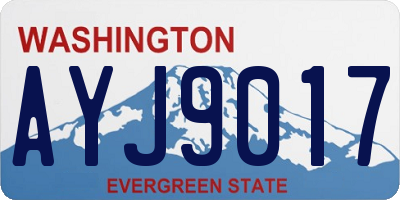 WA license plate AYJ9017