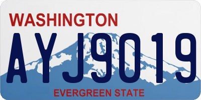 WA license plate AYJ9019