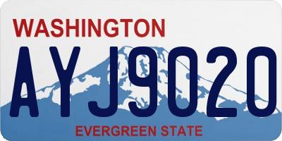 WA license plate AYJ9020