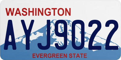 WA license plate AYJ9022