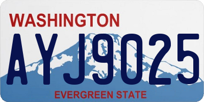 WA license plate AYJ9025