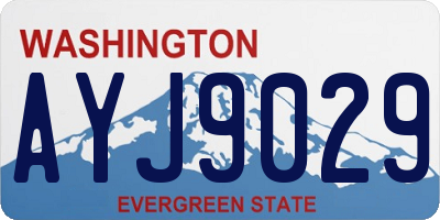 WA license plate AYJ9029