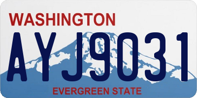 WA license plate AYJ9031