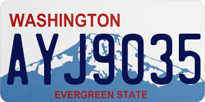 WA license plate AYJ9035