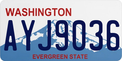 WA license plate AYJ9036