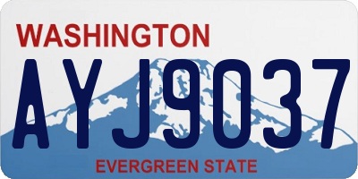 WA license plate AYJ9037