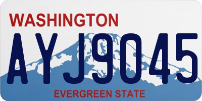 WA license plate AYJ9045