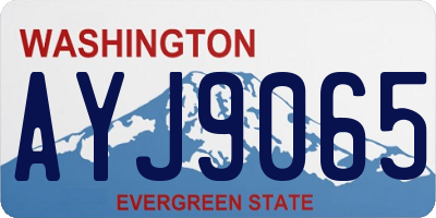 WA license plate AYJ9065
