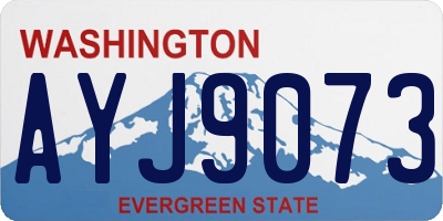 WA license plate AYJ9073