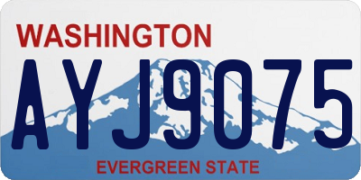 WA license plate AYJ9075
