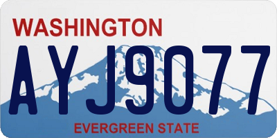 WA license plate AYJ9077