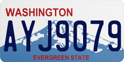 WA license plate AYJ9079