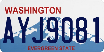 WA license plate AYJ9081