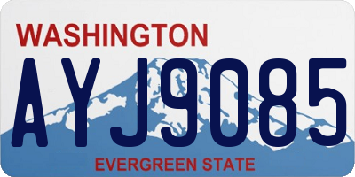 WA license plate AYJ9085