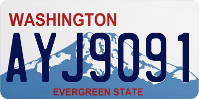 WA license plate AYJ9091