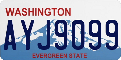 WA license plate AYJ9099