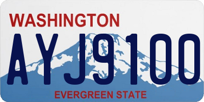 WA license plate AYJ9100