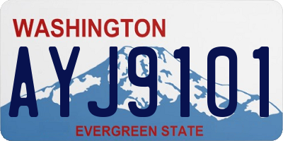WA license plate AYJ9101