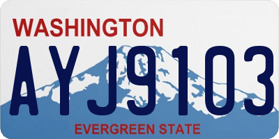 WA license plate AYJ9103