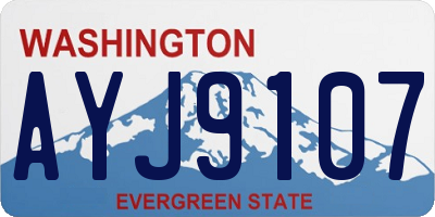 WA license plate AYJ9107