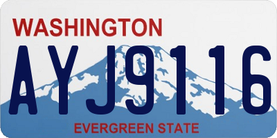WA license plate AYJ9116