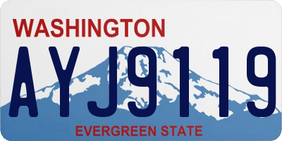 WA license plate AYJ9119