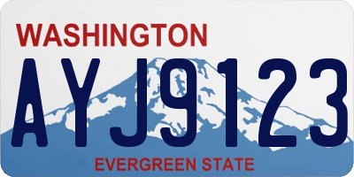 WA license plate AYJ9123