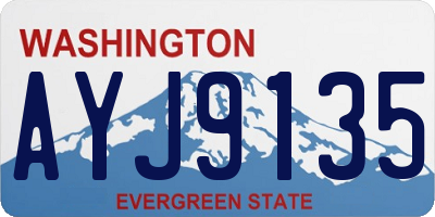 WA license plate AYJ9135