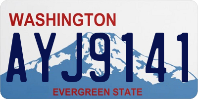 WA license plate AYJ9141