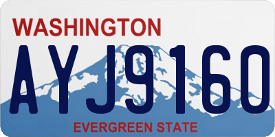 WA license plate AYJ9160