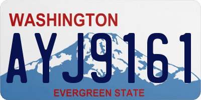 WA license plate AYJ9161