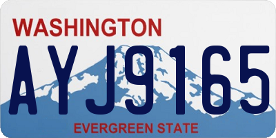 WA license plate AYJ9165