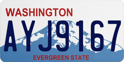 WA license plate AYJ9167