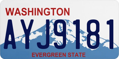 WA license plate AYJ9181