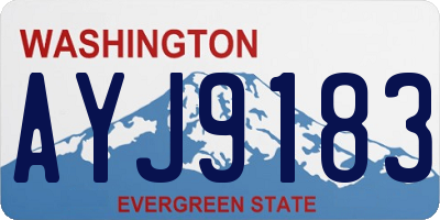 WA license plate AYJ9183
