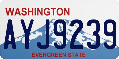 WA license plate AYJ9239
