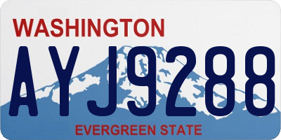 WA license plate AYJ9288
