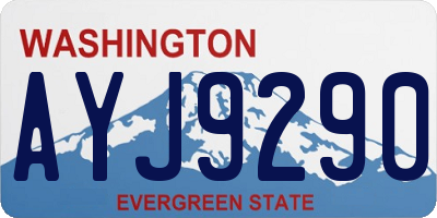 WA license plate AYJ9290