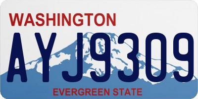 WA license plate AYJ9309