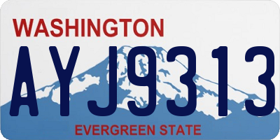 WA license plate AYJ9313