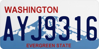 WA license plate AYJ9316