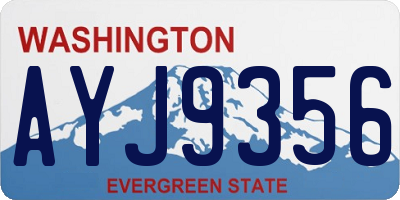 WA license plate AYJ9356
