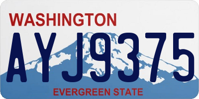 WA license plate AYJ9375
