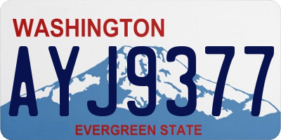 WA license plate AYJ9377