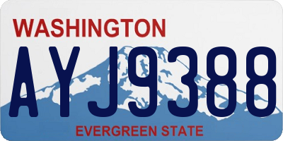 WA license plate AYJ9388
