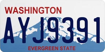 WA license plate AYJ9391