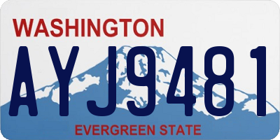 WA license plate AYJ9481