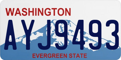 WA license plate AYJ9493